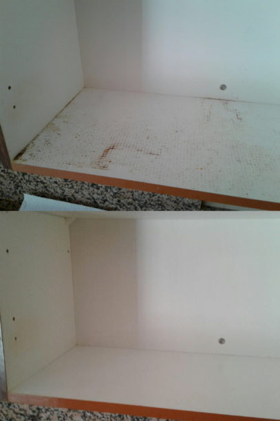Proficient Clean Cabinet Cleaning Service