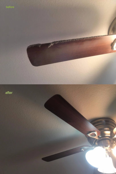 Proficient Clean Fan Cleaning