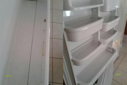 Proficient Clean Refridgerator Cleaning